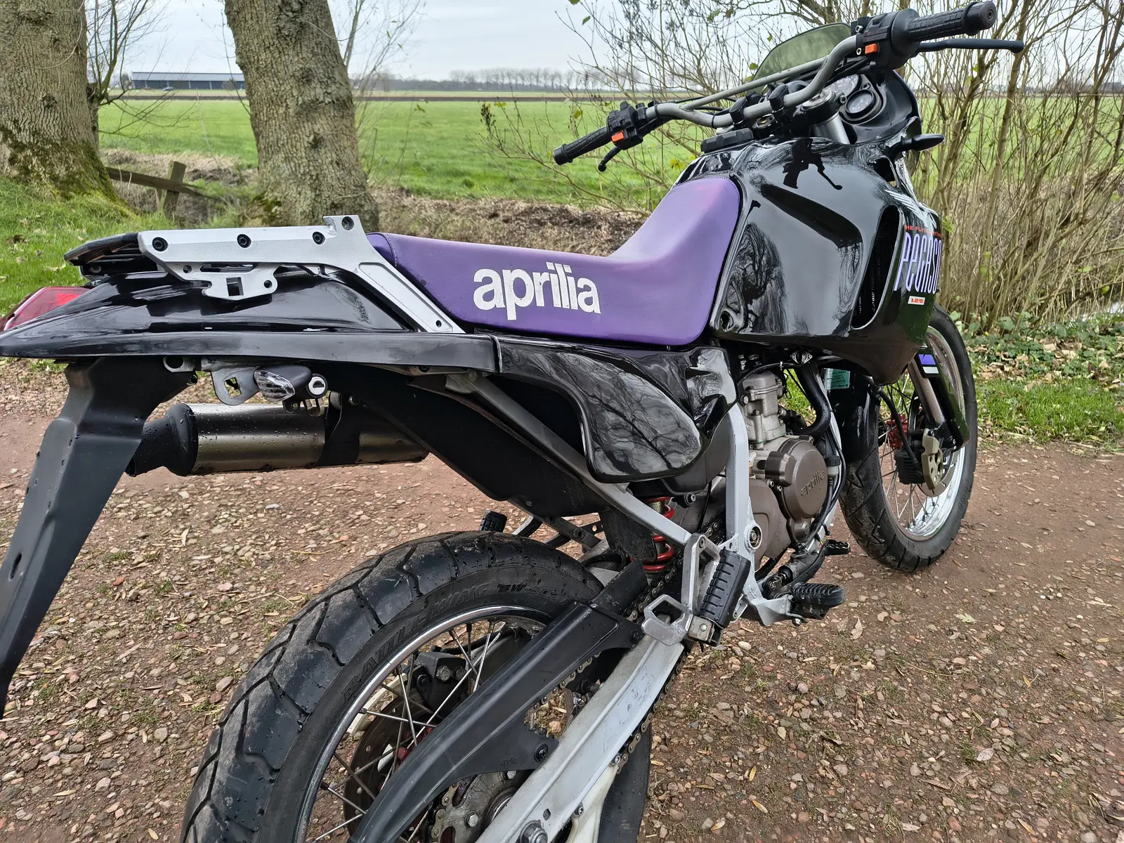 Aprilia Pegaso 125