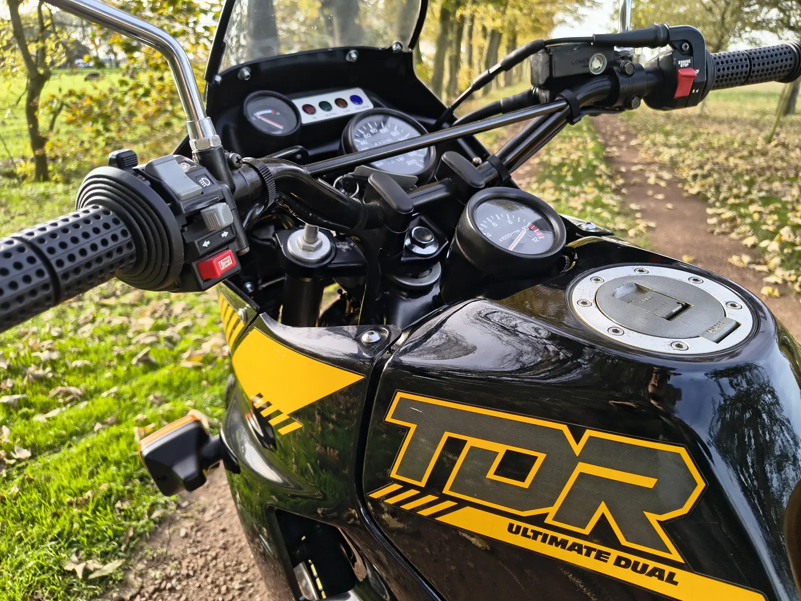 Yamaha TDR250