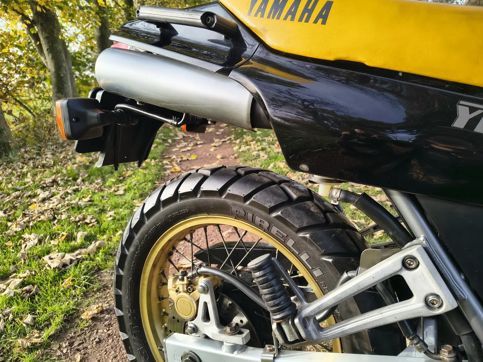 Yamaha TDR250