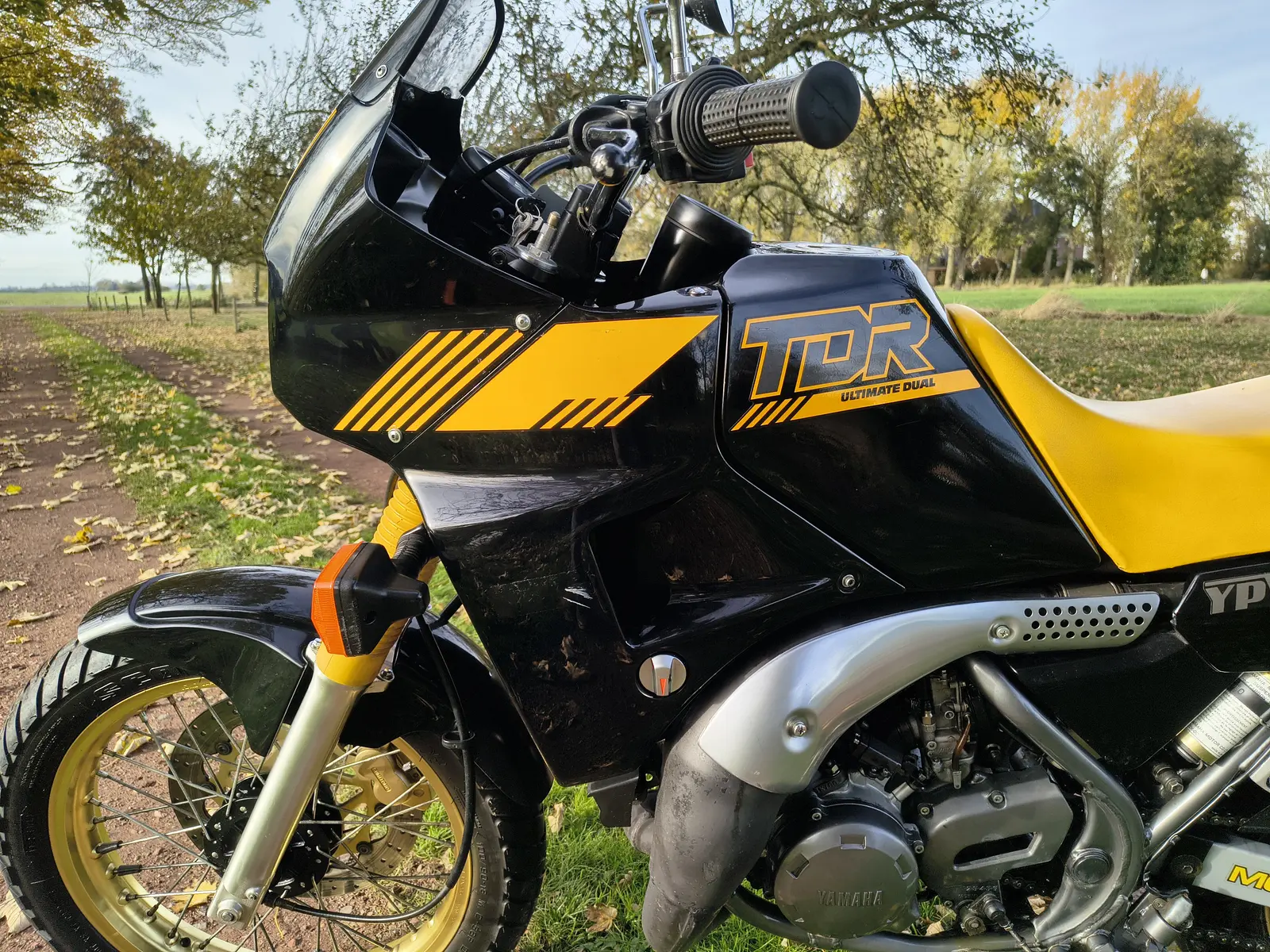 Yamaha TDR250