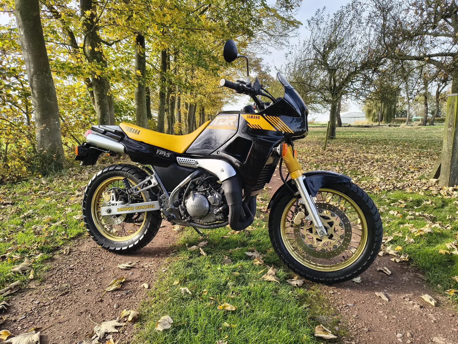 Yamaha TDR250