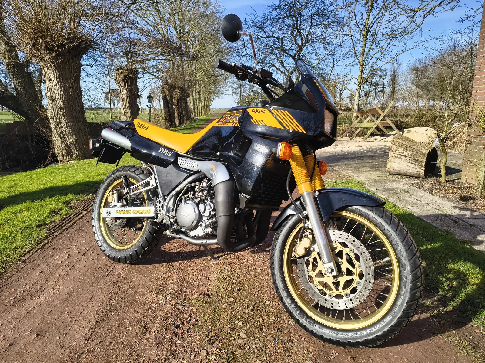 Yamaha TDR250