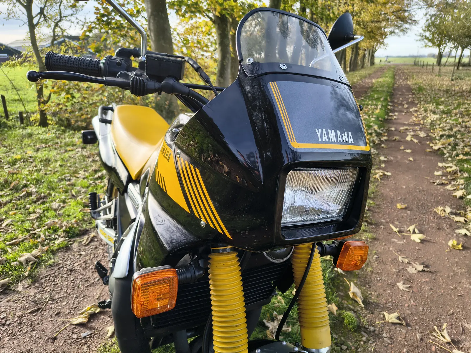 Yamaha TDR250