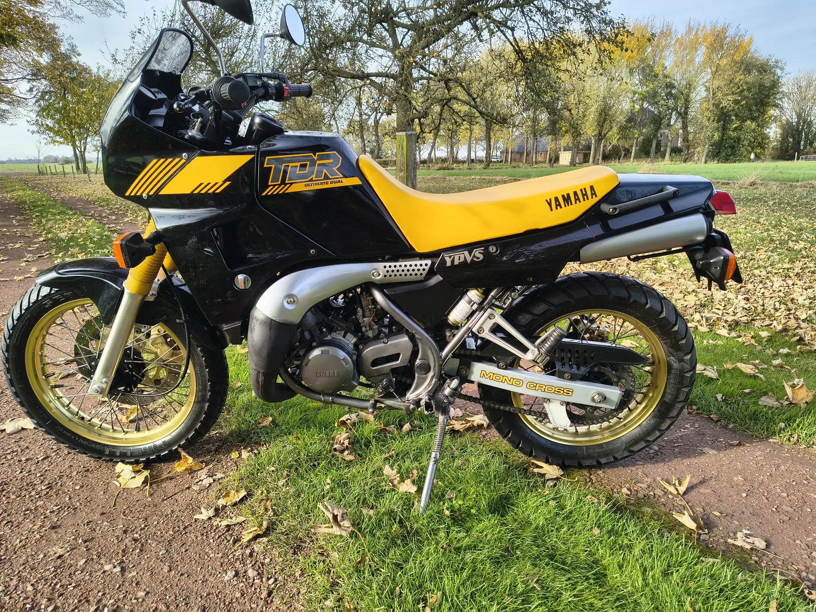 Yamaha TDR250