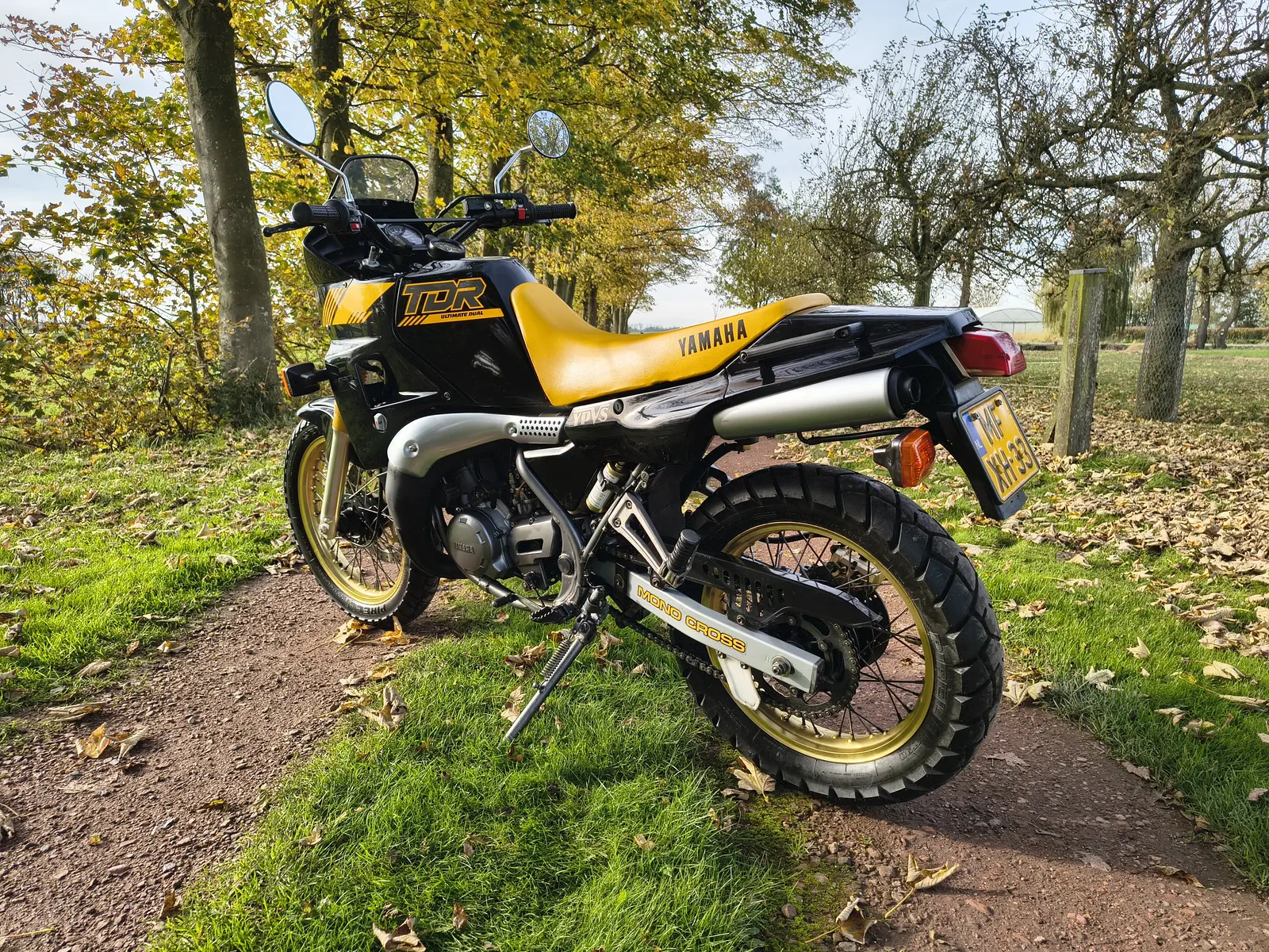 Yamaha TDR250