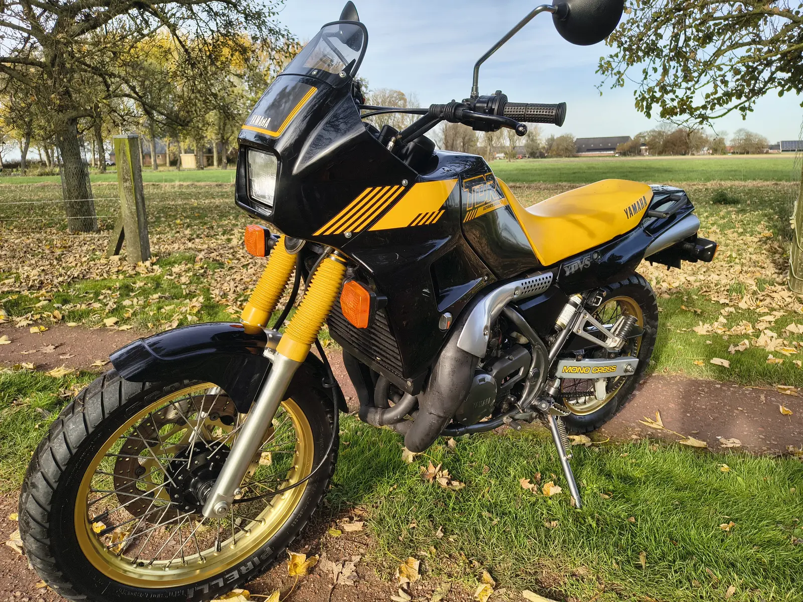 Yamaha TDR250